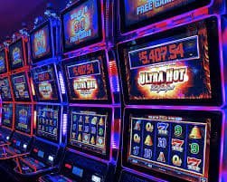 pvbet